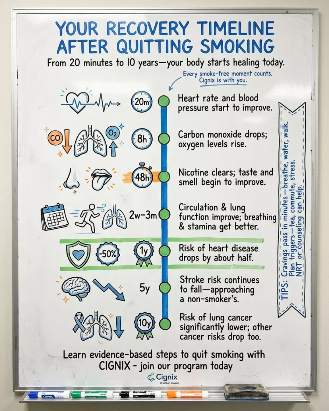 timeline for quitting chewing tobacco Quit Calendar: It Only Takes 31 Days To Quit Smoking Cessation - Psychiatry -